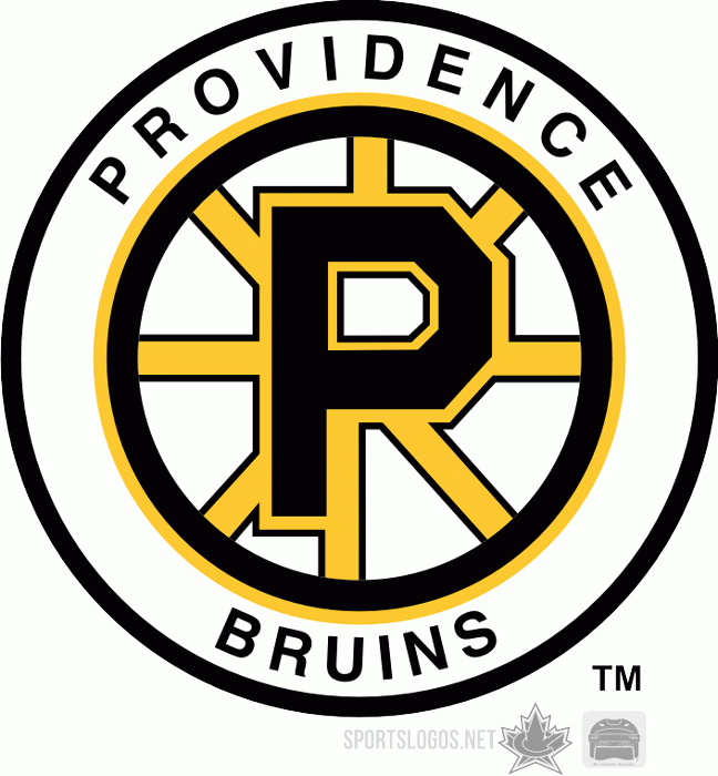 Providence Bruins 1995 96-Pres Alternate Logo iron on transfers for T-shirts